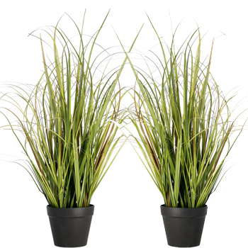 GRASS kruka med gr&auml;s 83cm